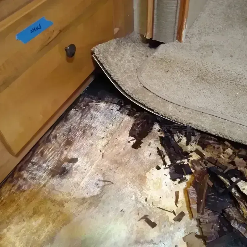 Best Wood Floor Water Damage Service in New Brighton, MN